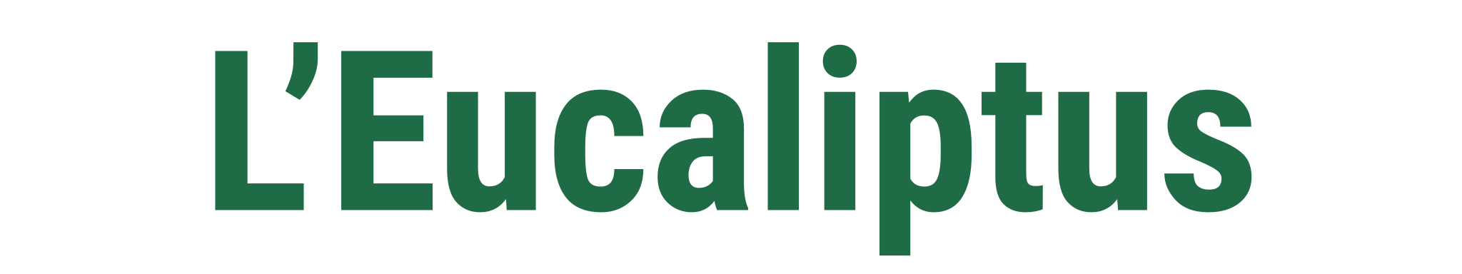 leucaliptus-logo-principal-verde-2048